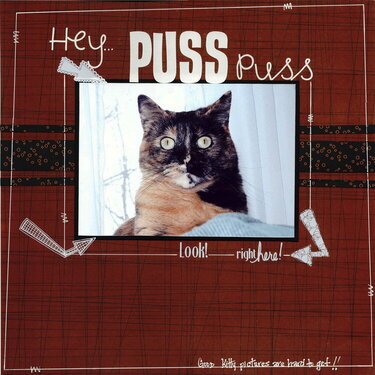 Hey Puss Puss