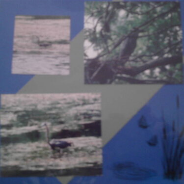 wakulla_springs_scrapbook_011