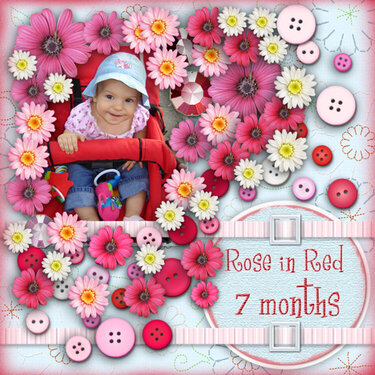 Rose - 7 months