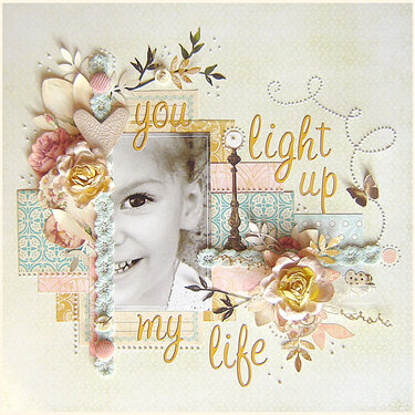 {You Light Up My Life}