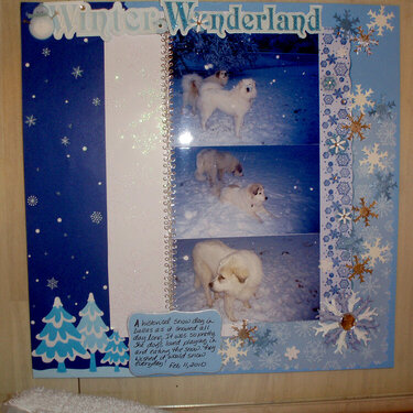 Winter Wonderland part 2