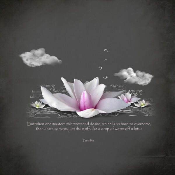 the lotus and the buddha