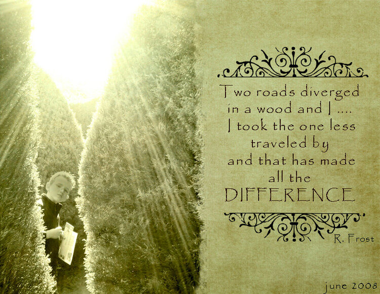 Two roads diverged in a wood ....