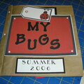 My Bugs Paper Bag Album