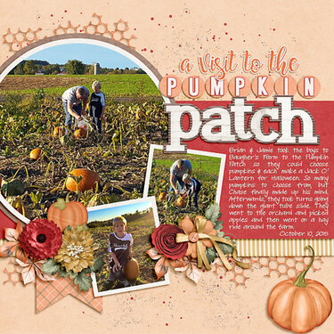 A Visit to the Pumpkin Patch