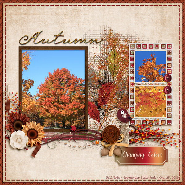 Autumn - Changing Colors