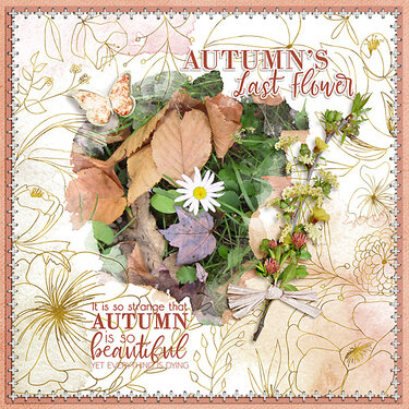 Autumn&#039;s Last Flower