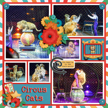 Circus Cats