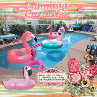 Flamingo Paradise