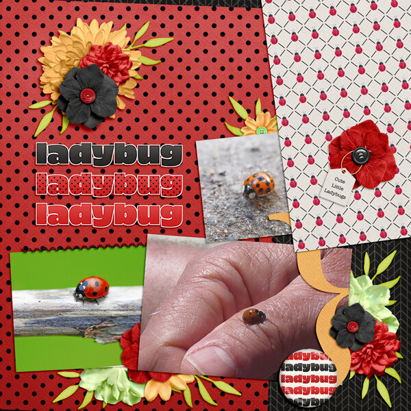 Ladybug Ladybug Ladybug
