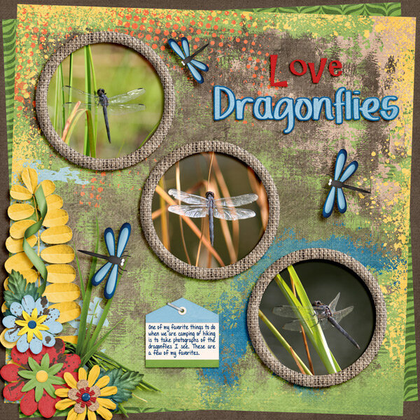 Love Dragonflies
