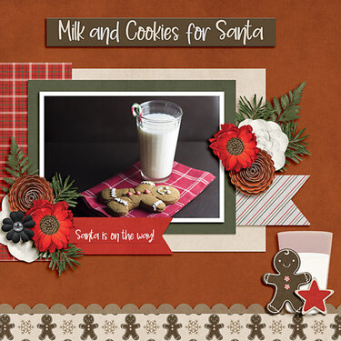 Milk &amp; Cookies for Santa