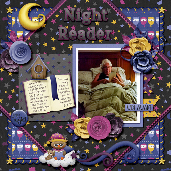 Night Reader