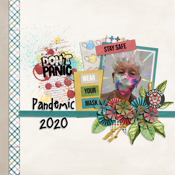 Pandemic 2020 Don&#039;t Panic