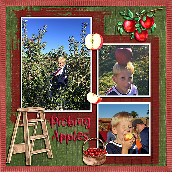 Picking Apples