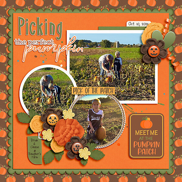 Picking the Perfect Pumpkin