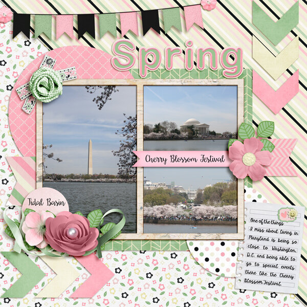 Spring - Cherry Blossom Festival