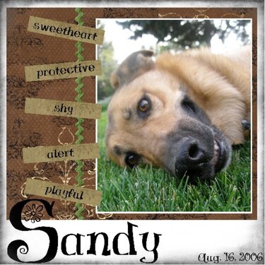 Sandy Def (17)