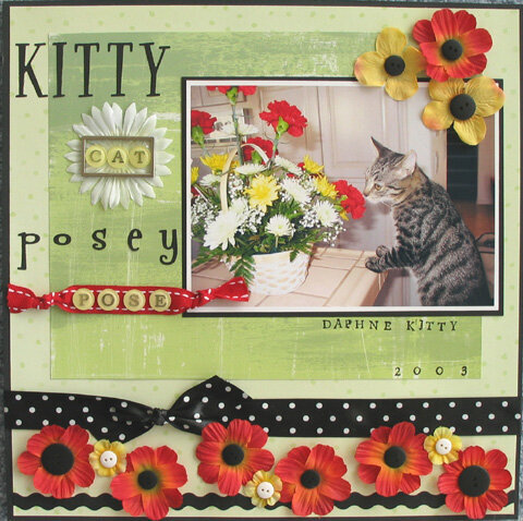 Kitty Cat Posey Pose