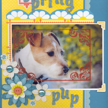 Spring Pup