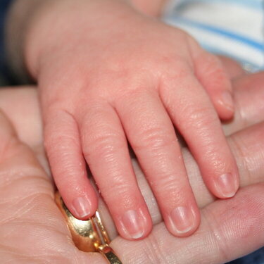 Baby&#039;s Hand