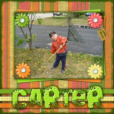 Carter Raking Leaves