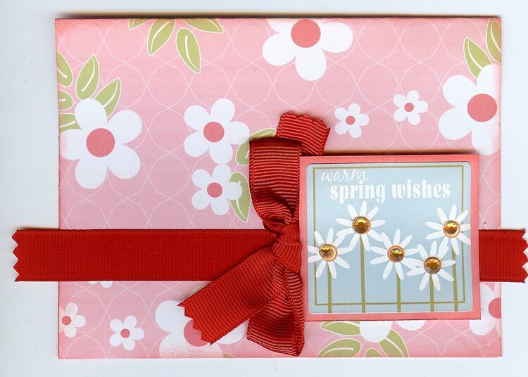 *Platinum Scraps* Guest Designer for May - Spring Wishes Card