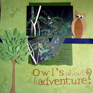 Owl&#039;s About An Adventure?