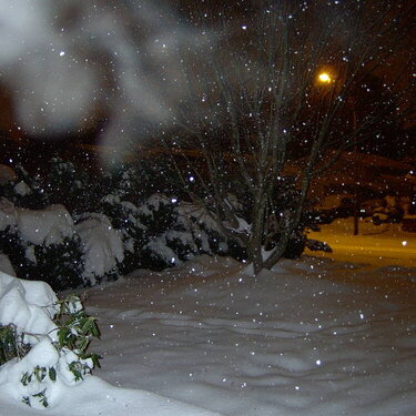 Snowstorm 2006