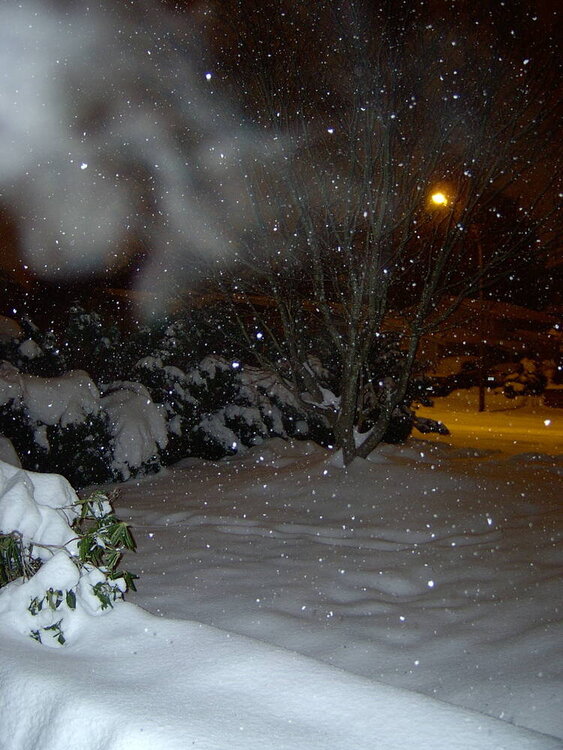 Snowstorm 2006