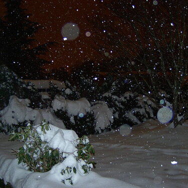 Snowstorm 2006