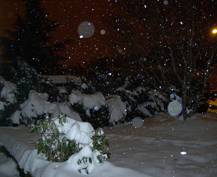 Snowstorm 2006