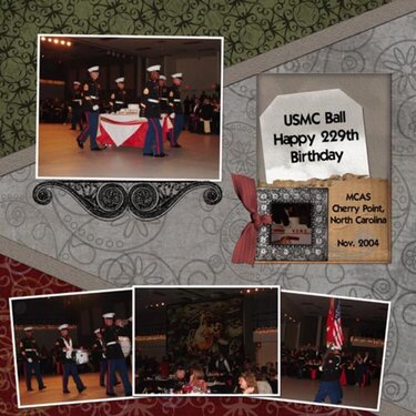 Marine Corps 229th BDay