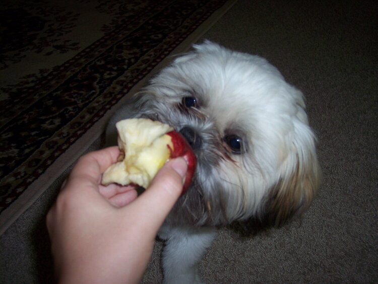 Miss lilly and an Apple