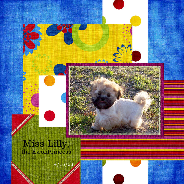 Miss Lilly, the Ewok Princess
