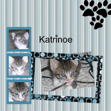 July Pet&#039;s Challenge- Katrinoe