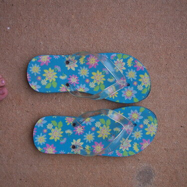 28. Flip Flops or Sandals {7 pts.}