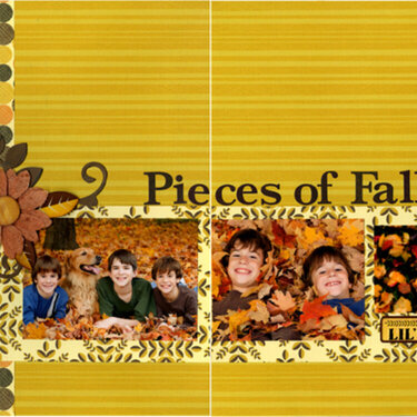 Pieces of Fall