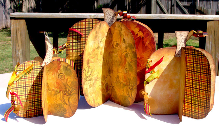 Harvest Pumpkins