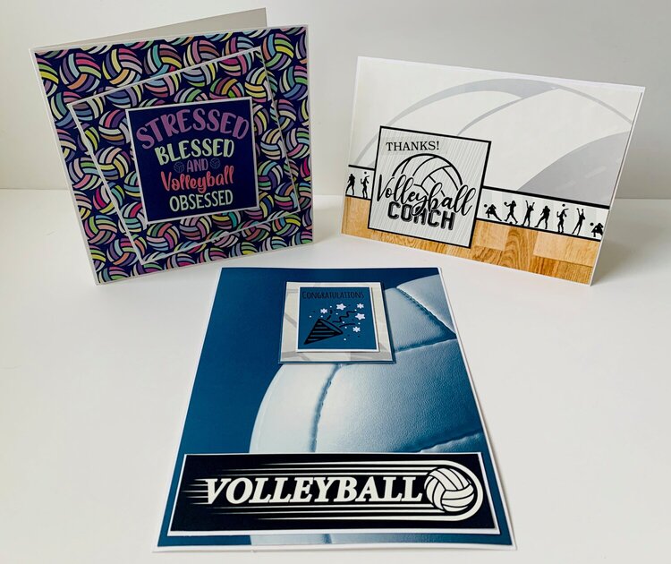 Reminisce Let&#039;s Play Volleyball Collection