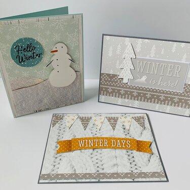 Reminisce My First Snow Collection Cards