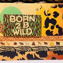 Born 2B Wild