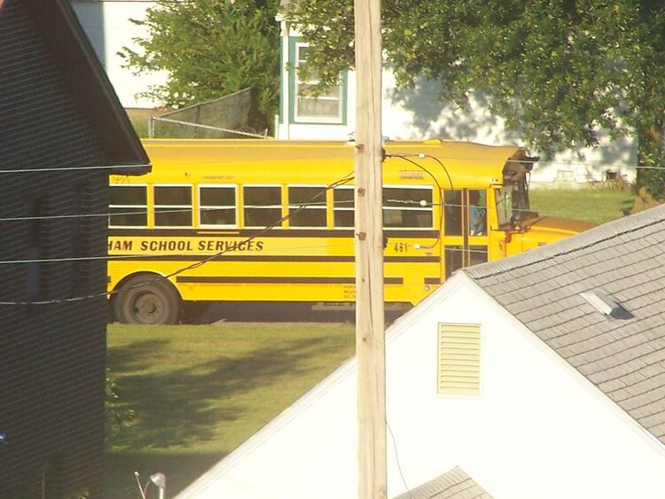 School bus - 5pts