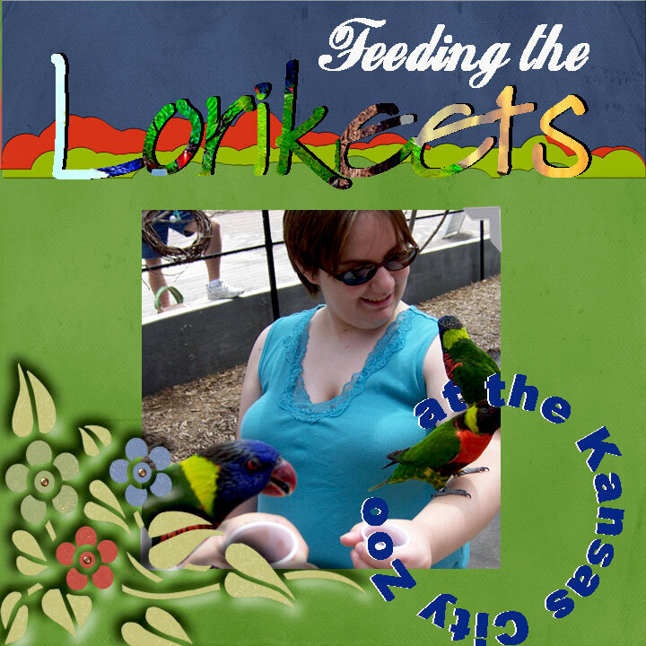 Feeding the Lorikeets