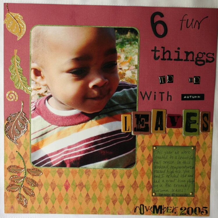 6 Fun Things To Do With Autumn Leaves page 1