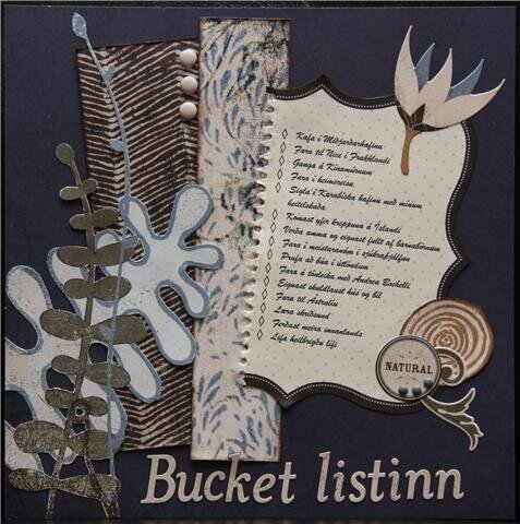 BOM project - my Bucket list