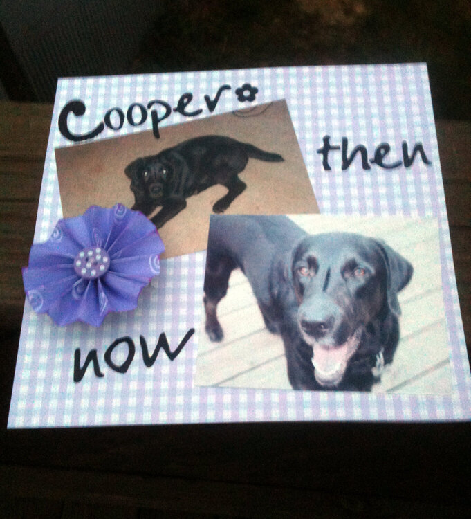 Cooper Then and Now