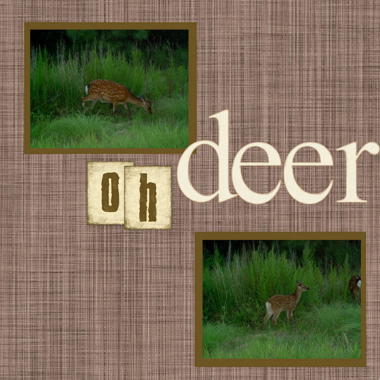 Oh Deer