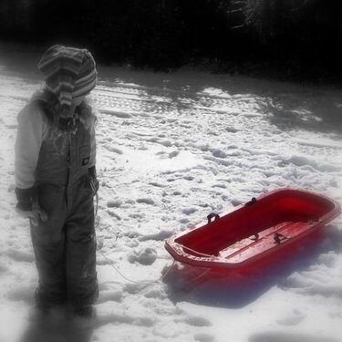 Little red sled