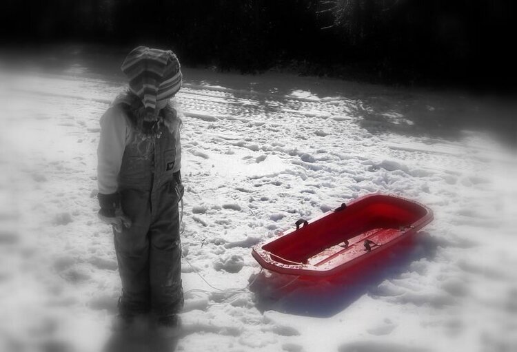 Little red sled